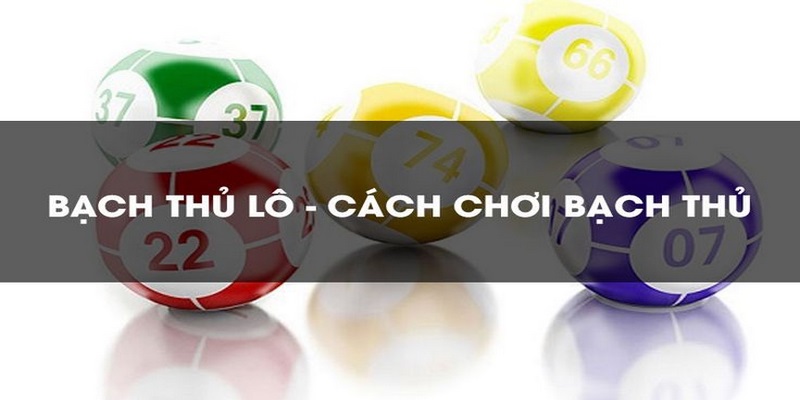 Trúng bạch thủ lô ăn bao nhiêu?